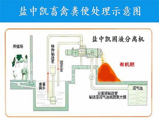 雞糞固液分離設(shè)備